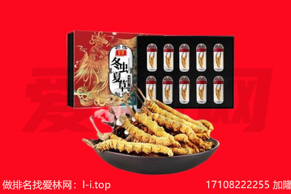 百色德保县回收虫草.jpg